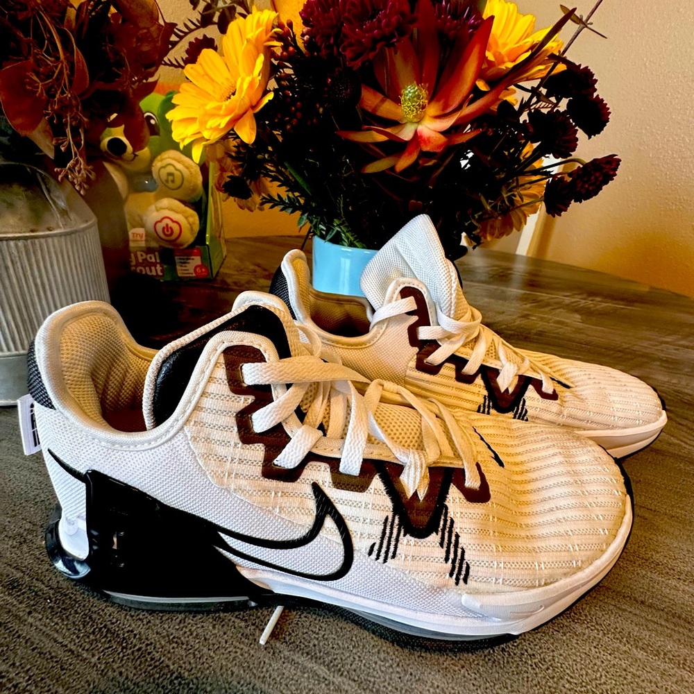 Nike Basketball Shoes